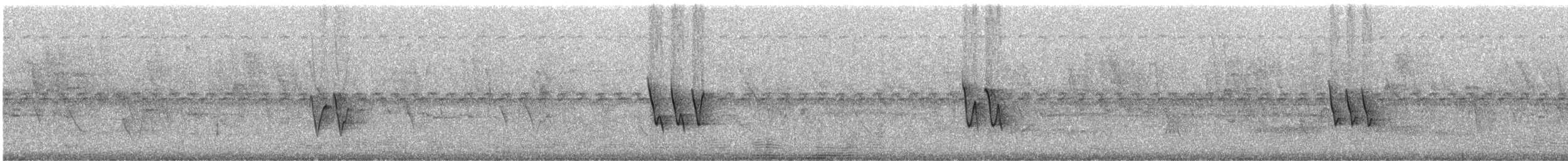 Chivi Vireo (migratory) - ML244759