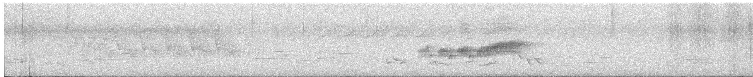 סבכון שחור-גרון - ML244763201