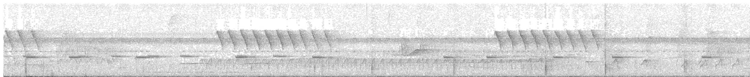 Inambari Gnatcatcher - ML244771541