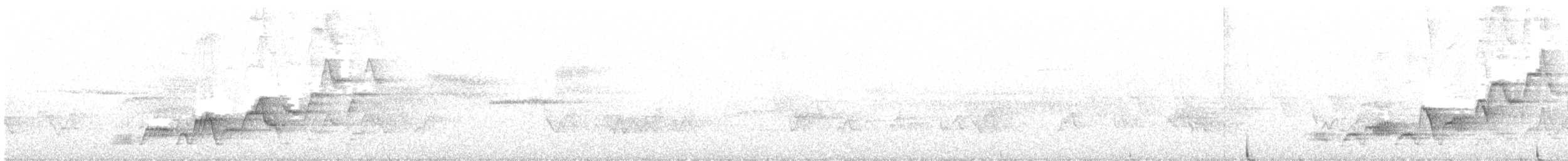 Дрізд-короткодзьоб Cвенсона - ML244772511