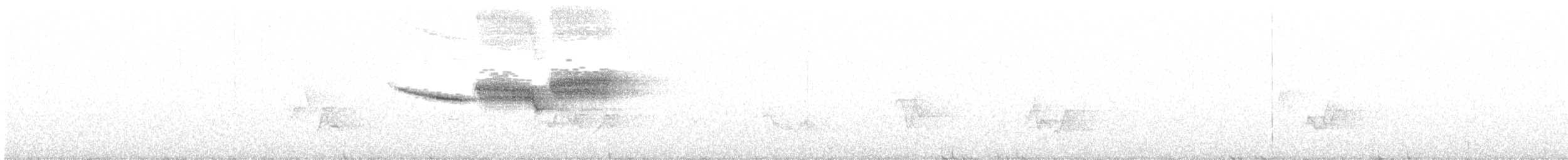 Black-throated Blue Warbler - ML244772641