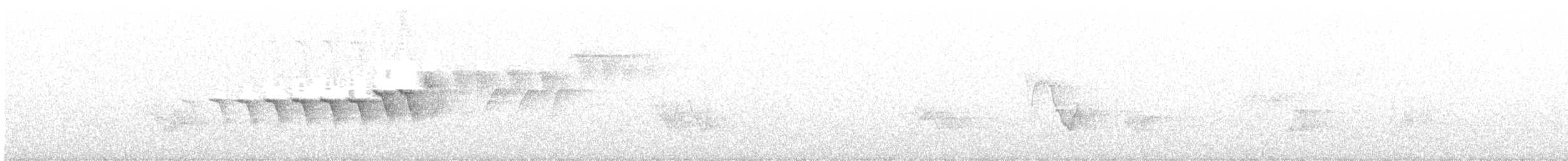 Yellow-rumped Warbler (Myrtle) - ML244772661