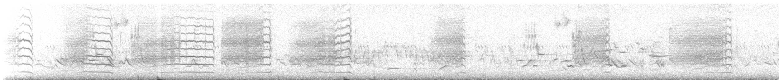 Loggerhead Shrike - ML244774531