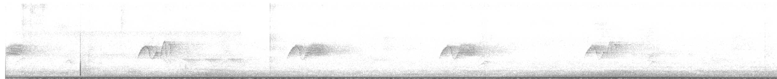 Светлобрюхий фиби - ML244785191