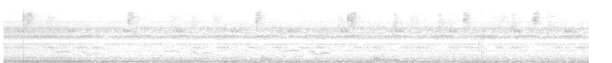 Зозуля білогорла - ML244791071