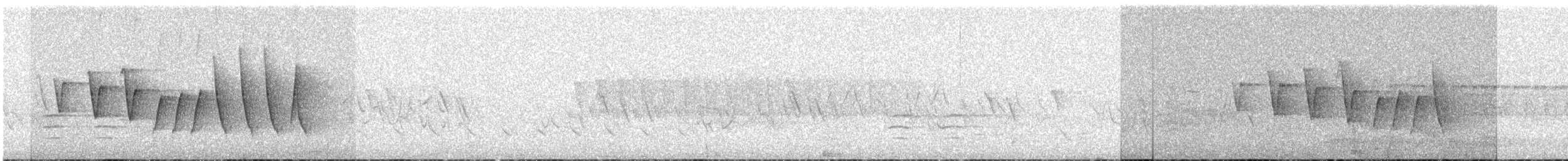 Northern Waterthrush - ML244796571