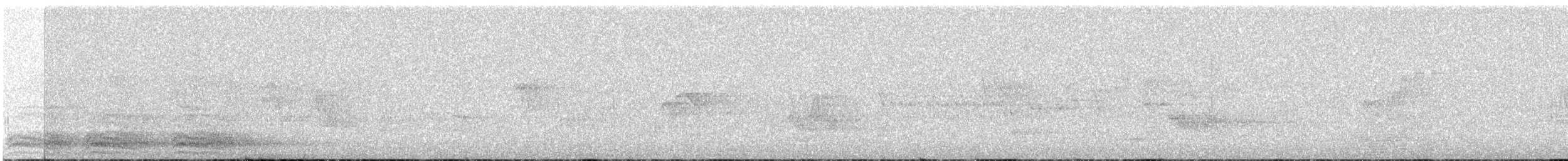 American Crow - ML244797521