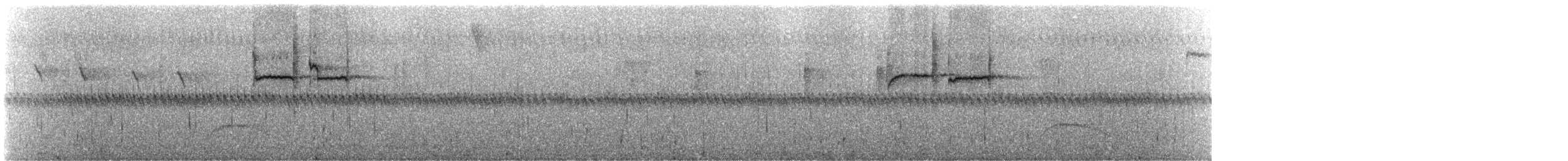 Fahlbinden-Tachurityrann - ML244806