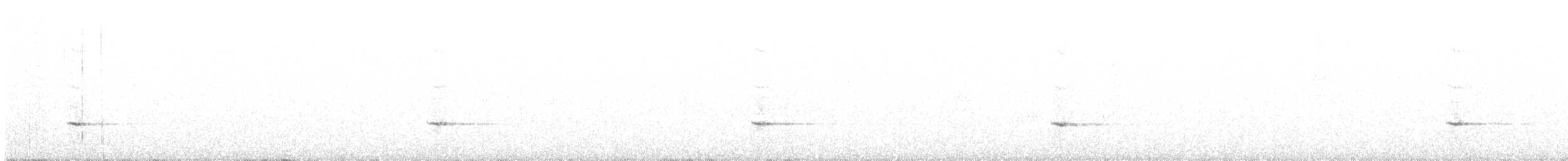 ハエトリツグミ - ML244821671