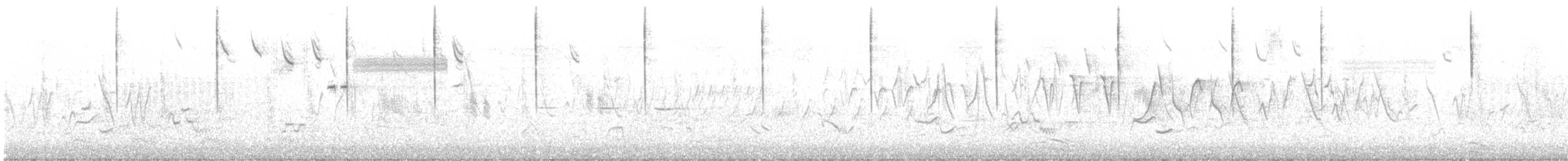 Savannah Serçesi [sandwichensis grubu] - ML244823601