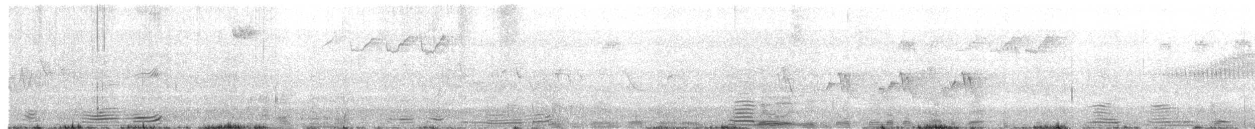 lesňáček skvrnitý - ML244833951