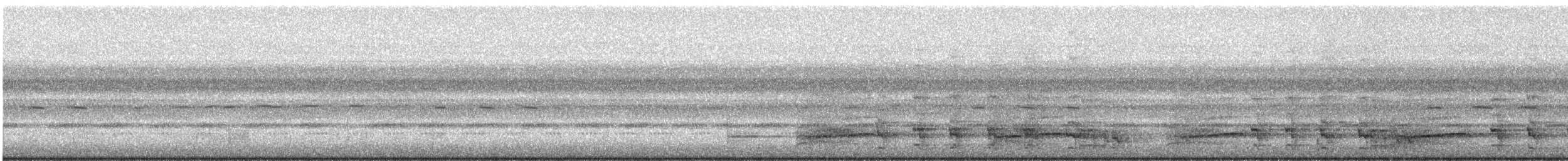 Scaly Spurfowl - ML24484061