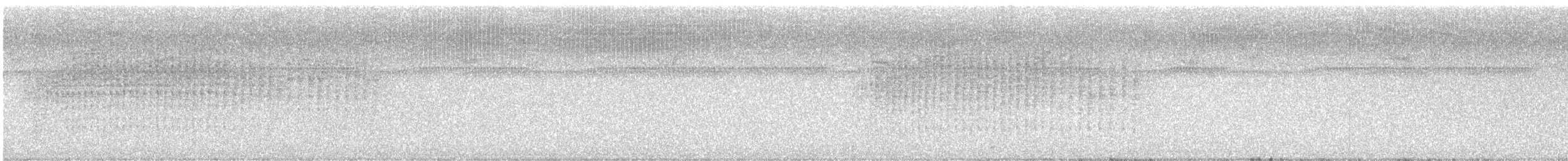 Spot-breasted Wren - ML244843471