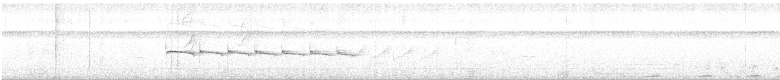Northern Beardless-Tyrannulet - ML244872531