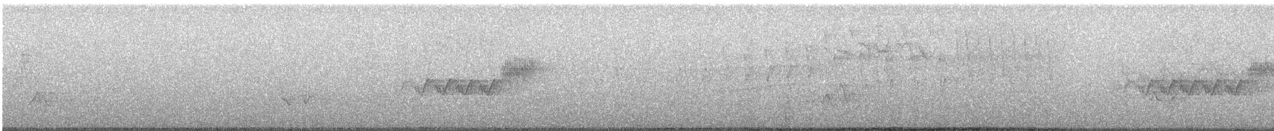 Cerulean Warbler - ML244875131
