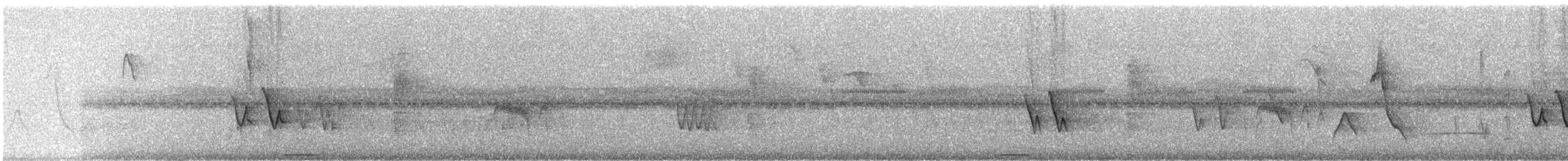 Chivi Vireo (migratory) - ML244893