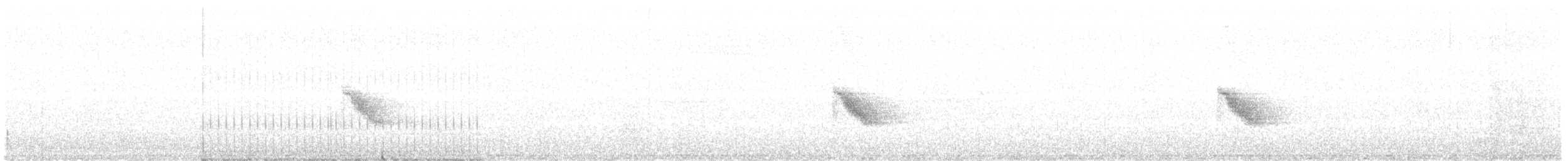 Bicknell Bülbül Ardıcı - ML244894331