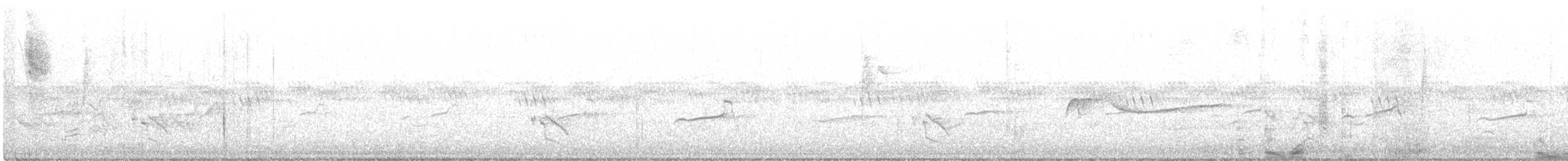 Eastern Wood-Pewee - ML244896551