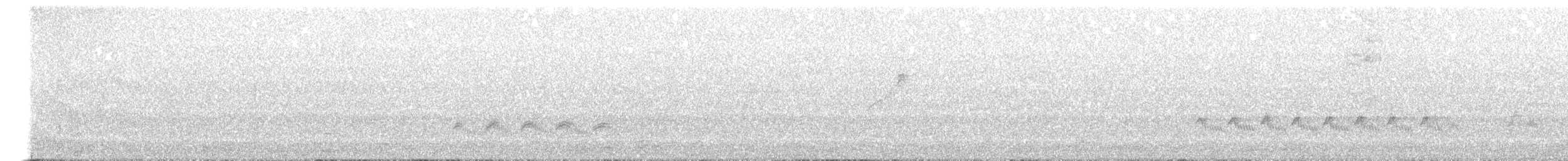 Kaya Çıtkuşu - ML244908221