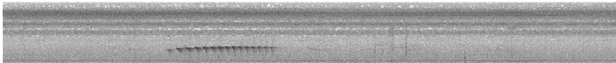 Grisin sombre - ML244938431