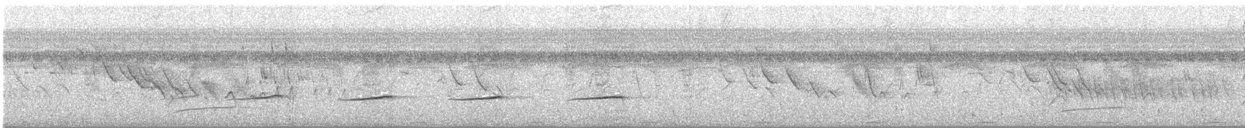 Ak Karınlı Tohumcul - ML244956671