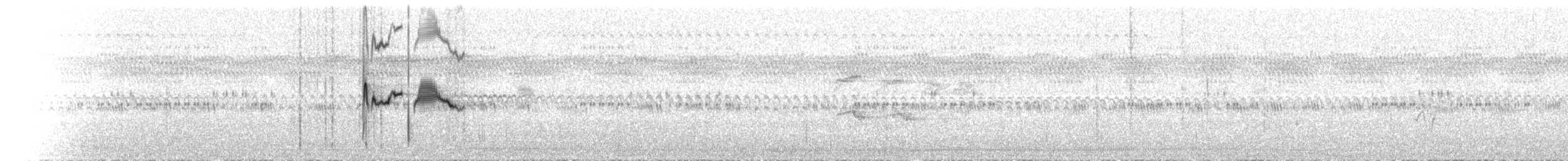 White-winged Black-Tyrant - ML244958581