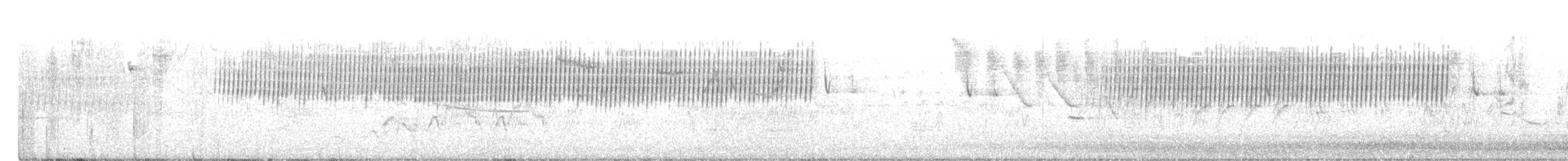 Cırcır Sesli Serçe - ML244961281