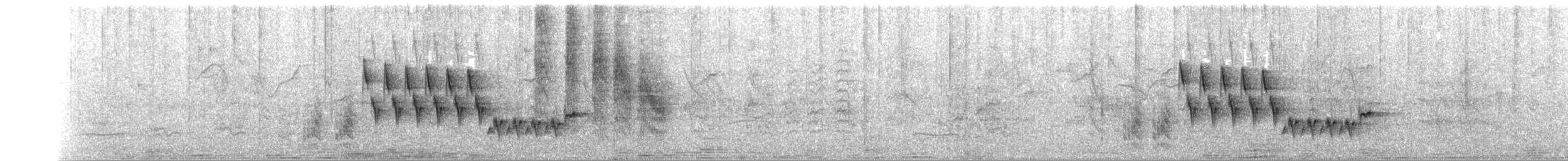 Troglodyte familier - ML244961681