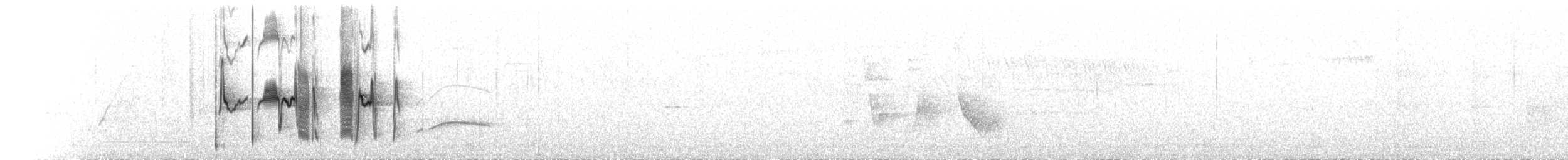Weißspiegel-Dunkeltyrann - ML244962591