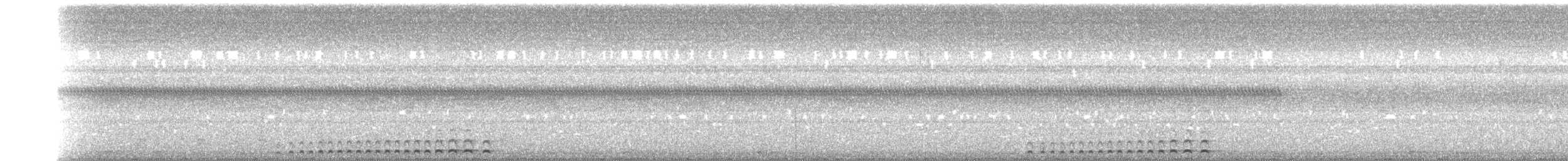 Сплюшка неотропічна - ML244967591