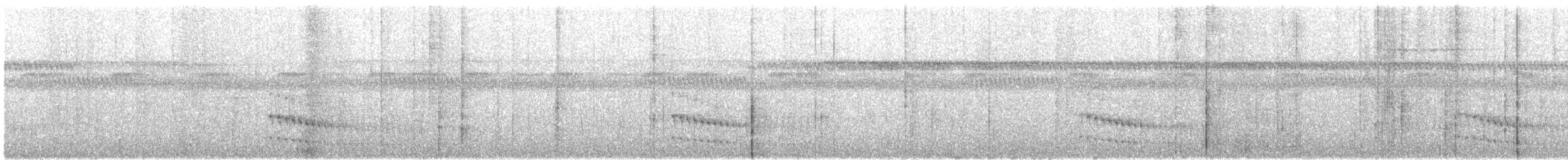 olivenløvgransker (cervicalis/badius) - ML244972011