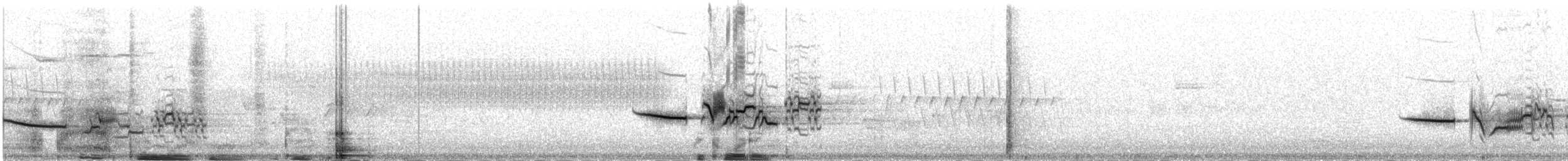 Дрізд-короткодзьоб плямистоволий - ML244995631