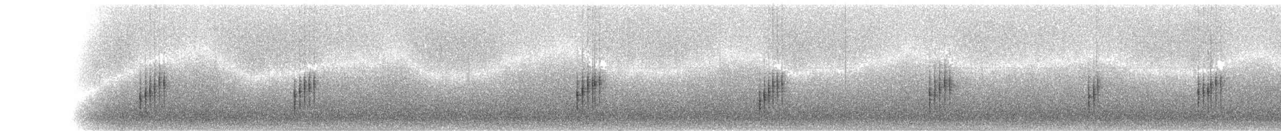 Şerit Karınlı Çıtkuşu - ML245007891