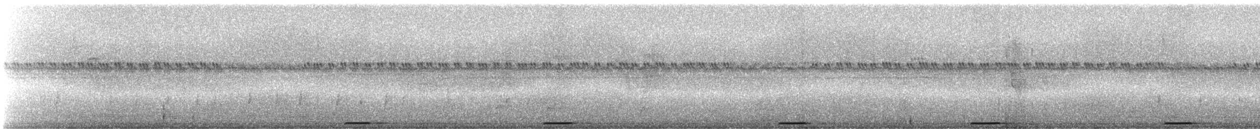 blydue - ML245031