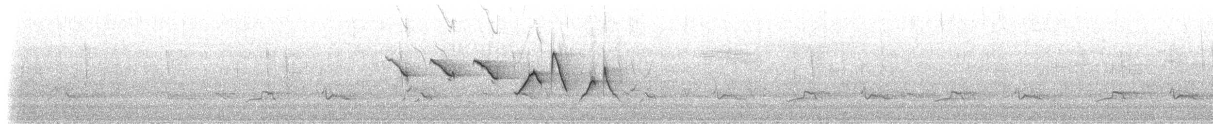 strømparula - ML245045691