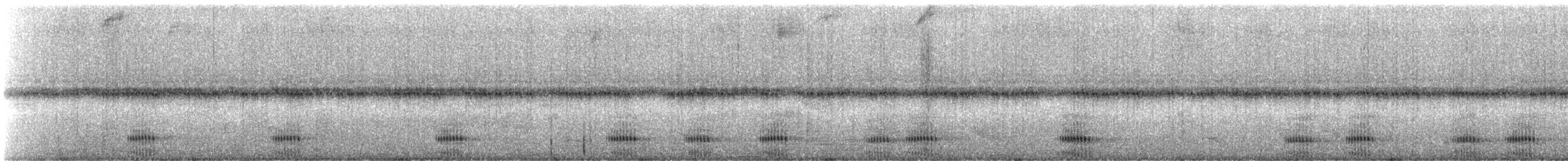 Toco Toucan - ML245058