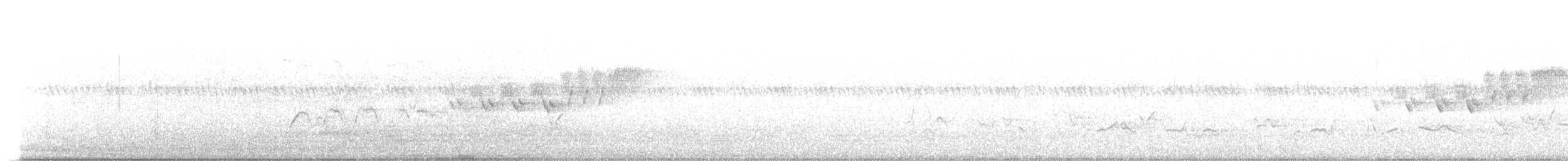Cerulean Warbler - ML245069921