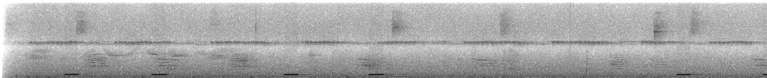 holoubek šedomodrý - ML245074