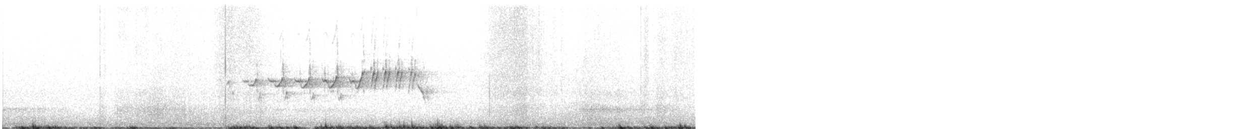 Paruline à croupion jaune (auduboni) - ML245078921