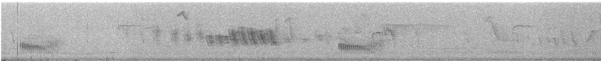 Gray-headed Antbird - ML245109