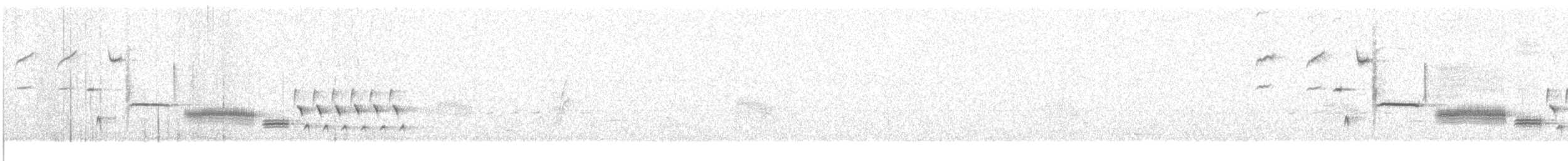 Bewick Çıtkuşu [mexicanus grubu] - ML245121011