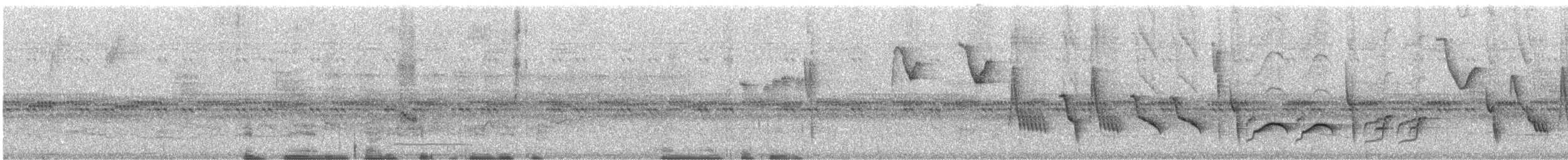 Black-billed Seed-Finch - ML245128