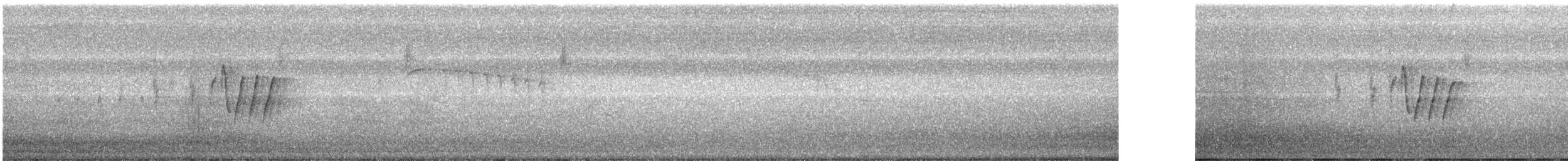 Riperyan Çıtkuşu - ML245137041