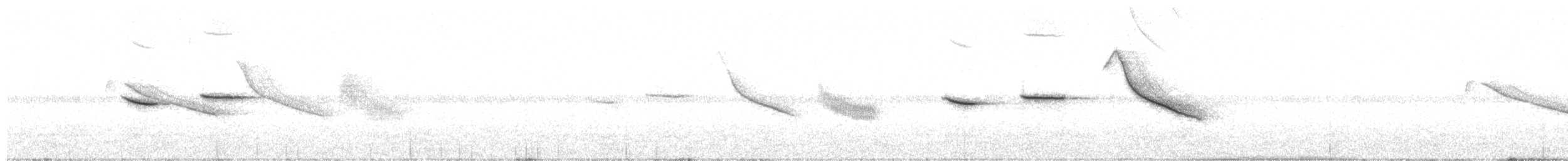 Rufous-collared Sparrow - ML245137441