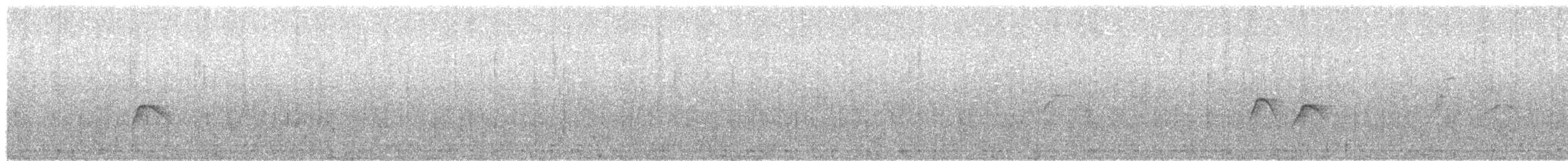 Sierran Elaenia - ML245137581