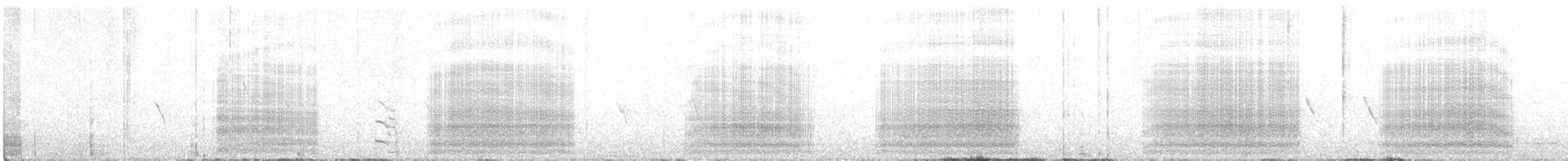 Какатоїс жовтохвостий - ML245138061