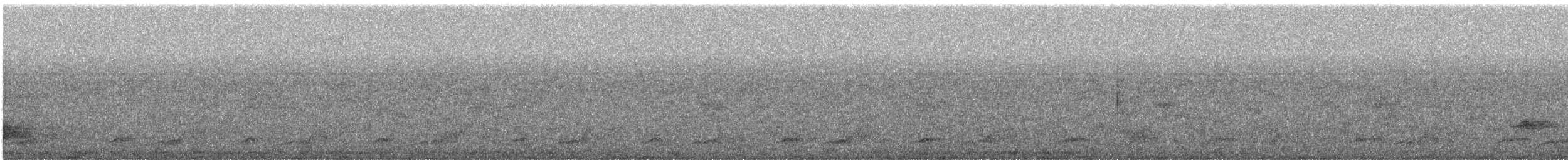 Schwarzkehl-Nachtschwalbe - ML245138371
