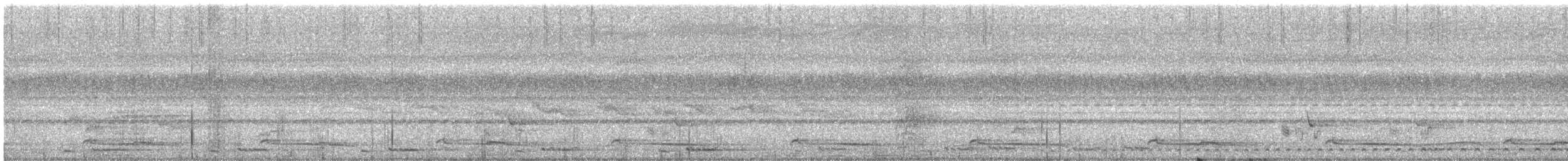 Большой бородастик - ML245140291