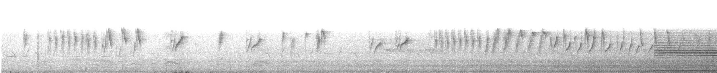 Атласная нектарница - ML245154171