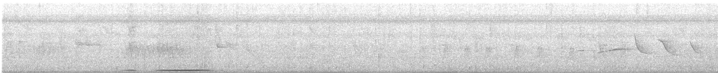 holub bledočelý - ML245170051